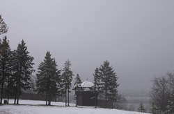 У ботсаду Києва з’явиться тактильний сад у формі голуба (фото)