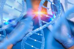 Китайские власти засомневались в законности экспериментов по изменению ДНК эмбрионов