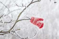 В Україні очікується похолодання: прогноз погоди на 29 листопада