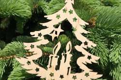  Висота дерева - 9 метрів