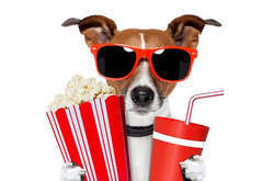 Сразу три украинских фильма получили награды на международном кинофестивале в Индии