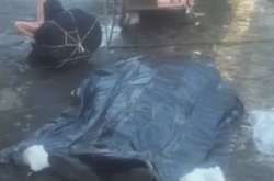 Чоловік помер на вулиці у центрі Києва