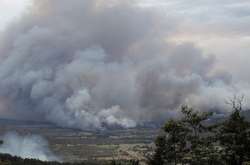 Лесные пожары угрожают Австралии. Фотогалерея