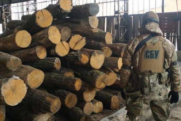 СБУ блокувала розкрадання деревини з держлісгоспів Одещини