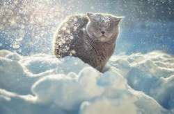 В Україні очікується мороз і ожеледь: прогноз погоди на 2 грудня