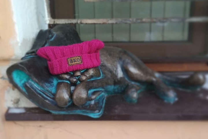 Для одеських котів зв'язали теплі шапки і шарфи