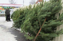 У Вінниці діятиме декілька ялинкових базарів (список)