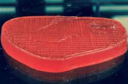  Ученые впервые напечатали на 3D-принтере говяжий стейк