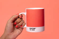 Цвет наступающего года: 16-1546