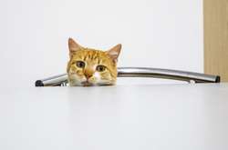 «Таких гуртожитків по всій Україні буде 184. Всього у Старичах на Львівщині побудовано 8 гуртожитків, в яких проживатимуть близько тисячі наших захисників», - йдеться у пості Порошенка