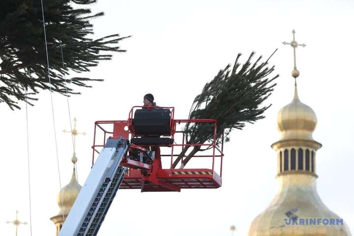 В Киеве устанавливают новогоднюю елку высотой в девятиэтажный дом