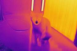 Пользователь сети показал, как выглядят обычные вещи, если смотреть на них через тепловизор