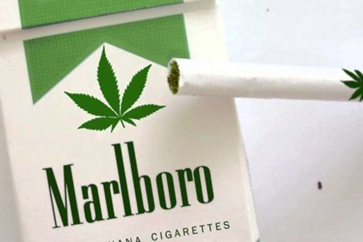 Виробник сигарет Marlboro займеться вирощуванням марихуани
