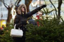 Крім чипів, натуральні хвойні дерева матимуть самоклейні етикетки, які містять індивідуальний номер, та відповідні штрих-коди