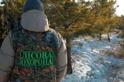 У столиці працюють мобільні групи лісової охорони