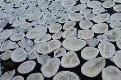 Уникальное явление: «ледяные блины» в шотландской реке