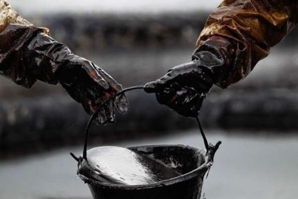 На Закарпатье произошла утечка нефти