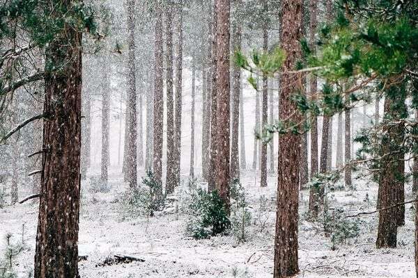 В Україні очікується сніг та ожеледиця: прогноз погоди на 13 грудня