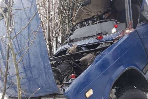 Смертельна ДТП на Київщині: ВАЗ злетів з дороги і врізався у дерево