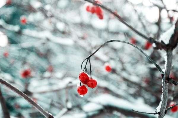 В Україні очікується посилення морозів: прогноз погоди на 17 грудня