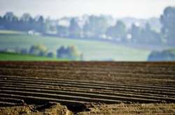 Мораторій на землю в Україні: експерт назвав проблеми