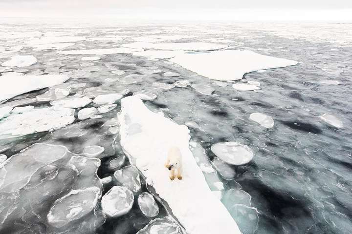 Неймовірна біла краса. Арктична дика природа на знімках фотографа з Норвегії