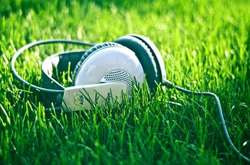 Каким был бы мир без людей: композитор создал уникальную звуковую карту мира