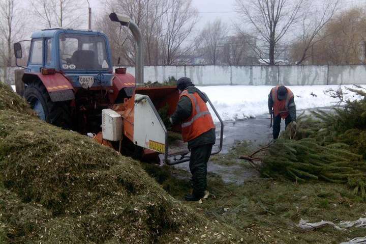 У Києві уже запрацював пункт переробки новорічних ялинок