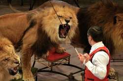 В Україні можуть заборонити диких тварин у цирках