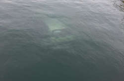 На Одещині біля мосту потонуло авто з людьми  - ЗМІ