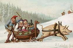 Лягушки, насекомые и мертвые птенцы: Подборка странных рождественских открыток Викторианской эпохи