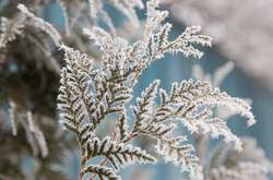 У п’ятницю в Україні очікується незначне потепління та опади 