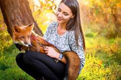 Лисенок из Днепра ведет аккаунт в Instagram