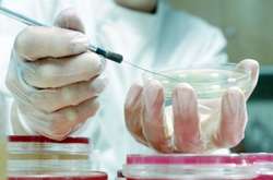 Жертви грипу: у Києві померли дві жінки