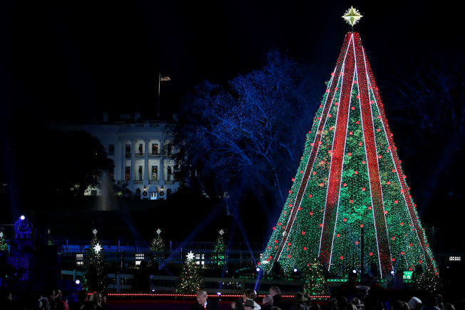 Неизвестный залез на рождественскую елку возле Белого дома