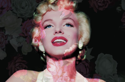 Она хотела иметь ребенка: американские журналисты сняли фильм о Мэрилин Монро