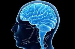 Как омолодить мозг на 10 лет