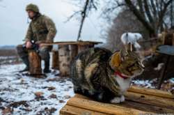У штабі Об’єднаних сил повідомили про повну тишу на фронті минулої доби