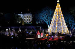 Дерево, яке знаходиться біля Білого дому, було пошкоджене