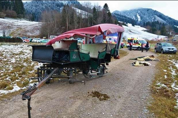 У Баварії зіткнулися дві кінні карети, постраждало 20 осіб