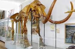 У січні можна безкоштовно відвідати музеї Києва (список)