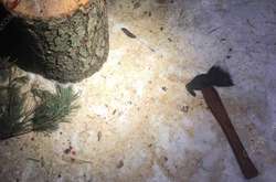 В России полицейский пытался топором обезвредить снаряд времен Второй мировой войны