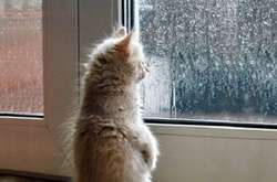 Сьогодні в Україні дощі з мокрим снігом