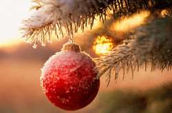 Погода підготувала киянам сюрприз на Новий рік