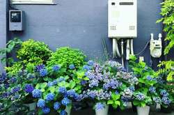 Красота японских стен: креативные фото