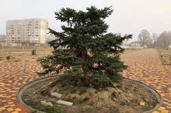 Новорічний вандалізм: в Ізмаїлі «обезголовили» 6-метрову ялинку (фото)