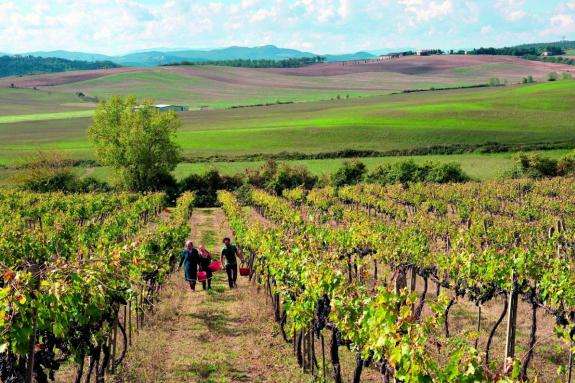 В Італії багатодітні родини отримуватимуть землю у селах