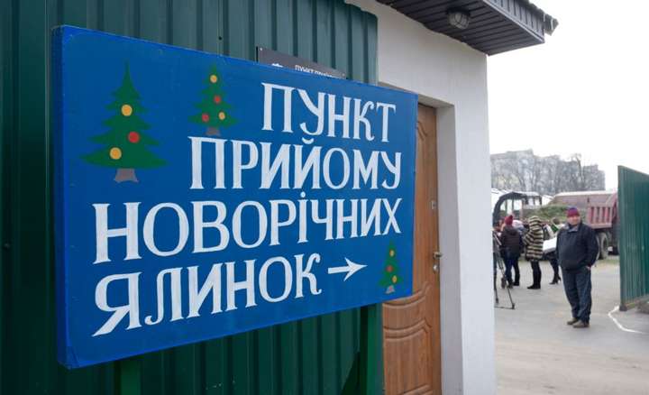 У Києві відкрили 15 пунктів прийому новорічних ялинок