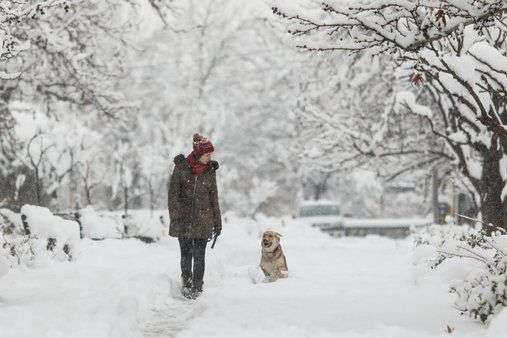 В Україну йдуть морози та снігопади: прогноз погоди на 4 січня