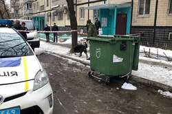 Новий рік дівчина відзначала в Києві